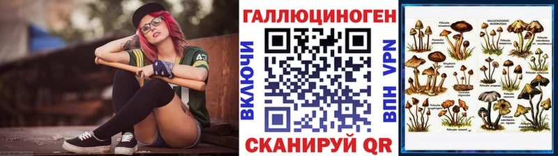 Псилоцибиновые грибы Psilocybine cubensis  Купить где  Карачаевск 